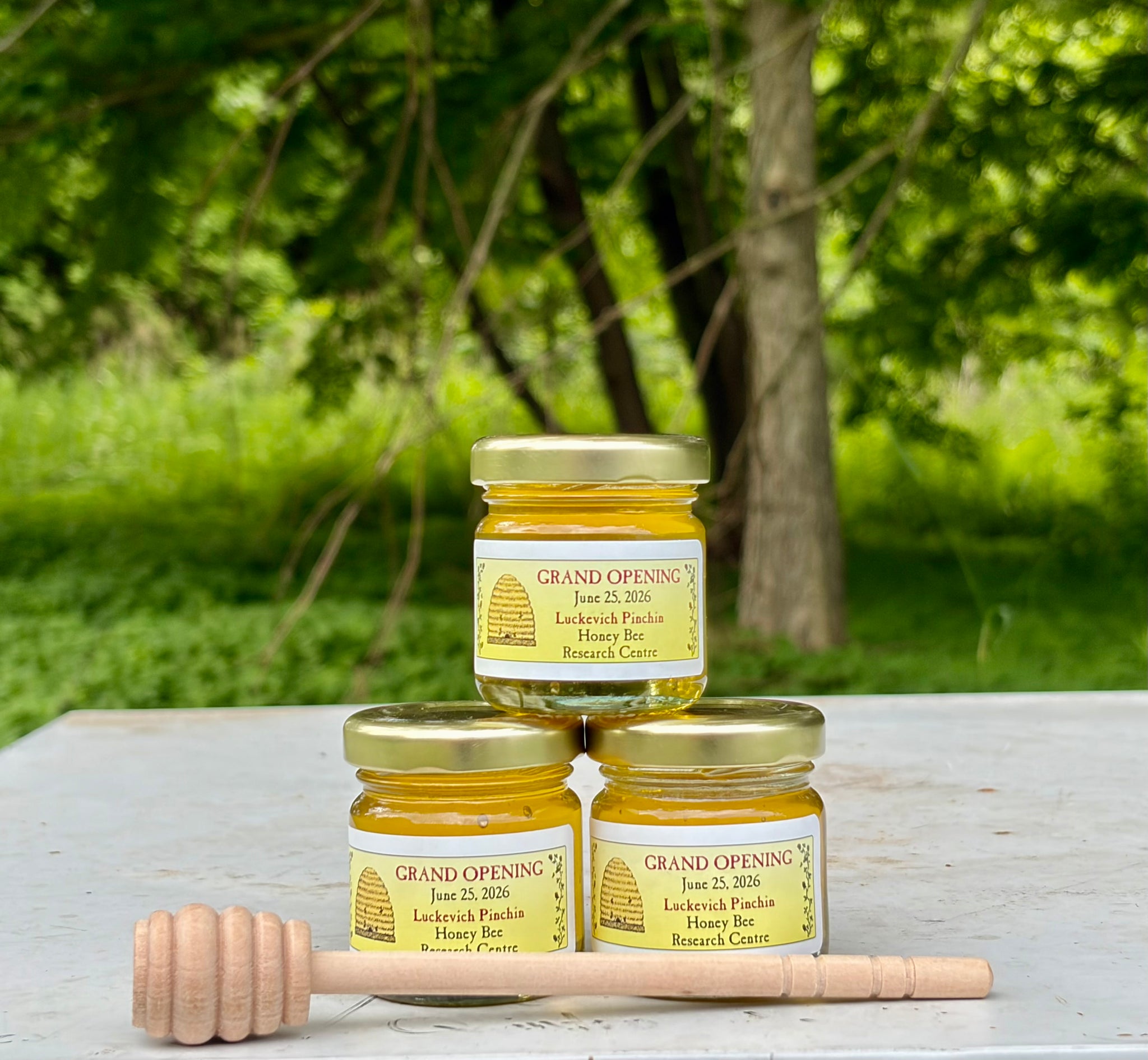 Summer Blossom Honey – Honey Bee Research Centre