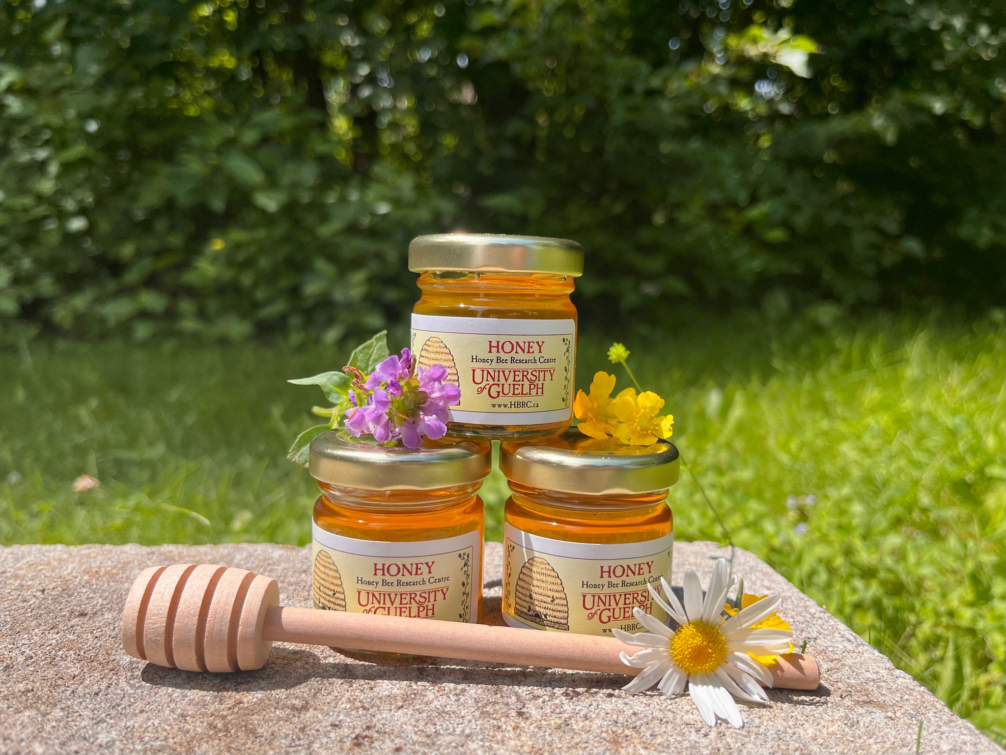 Summer Blossom Honey – Honey Bee Research Centre
